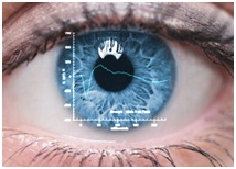 electroretinogr