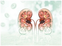 ureteroscop